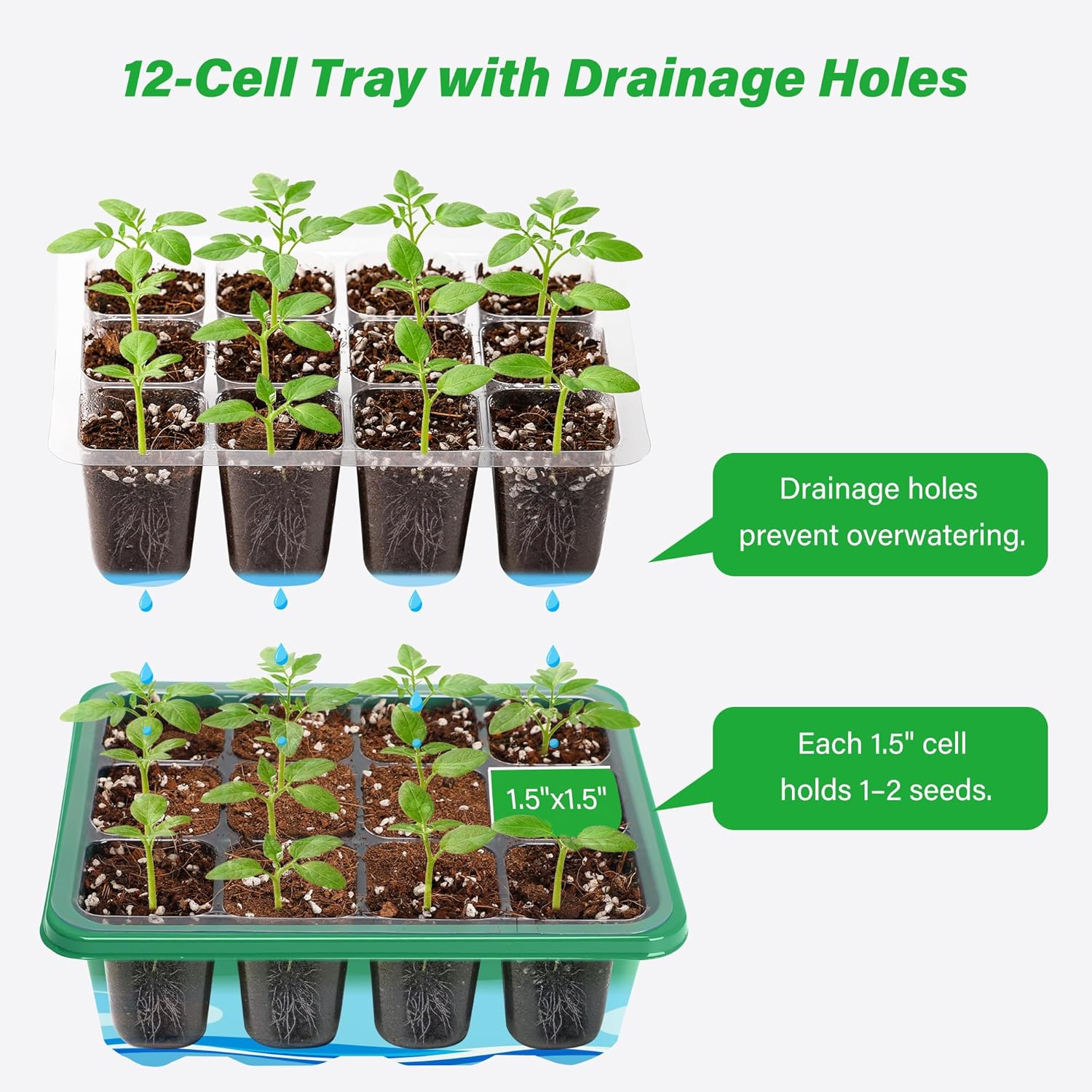 6/12 Grids Growing Starting Nu - Dome Propagation Kit review and price