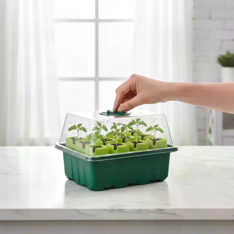 1Set Seed Starter Tray Mini Gr - Dome Propagation Kit review and price