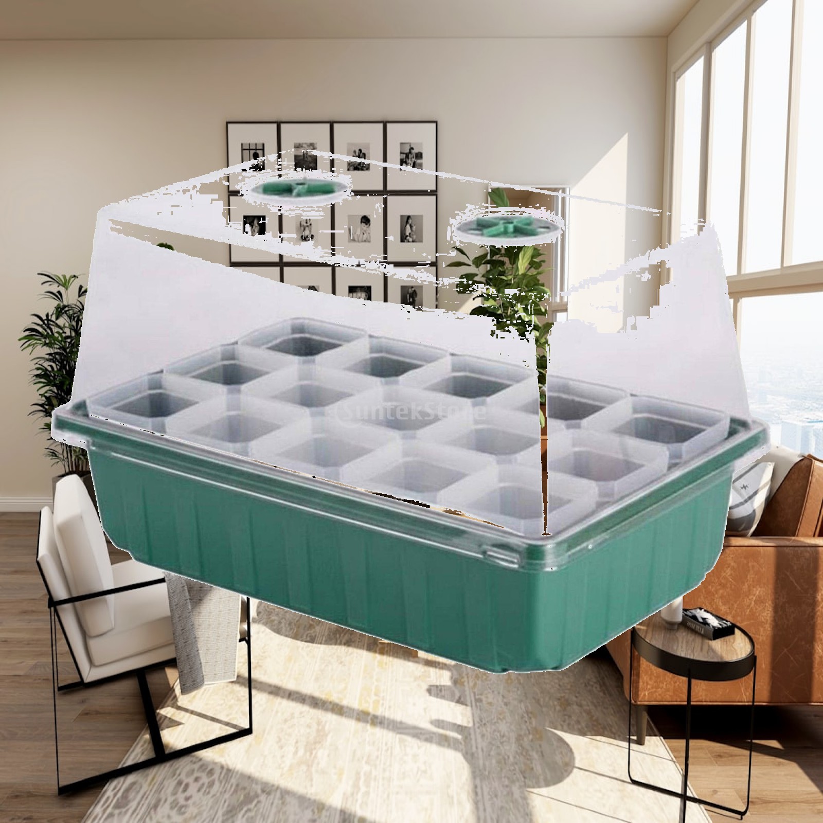 Mini Greenhouse Propagator Box - Dome Propagation Kit review and price