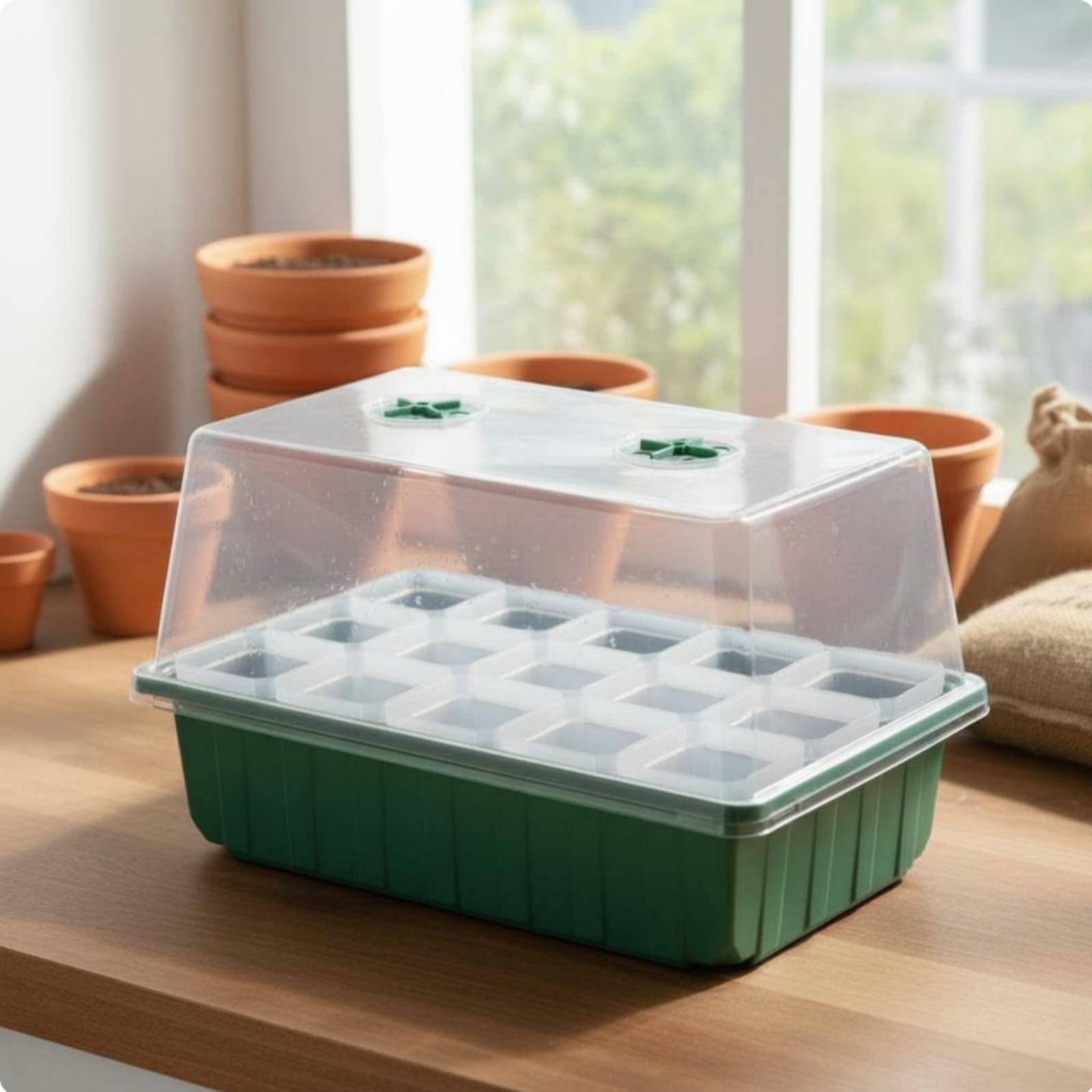 Mini Greenhouse Propagator Box - Dome Propagation Kit review and price