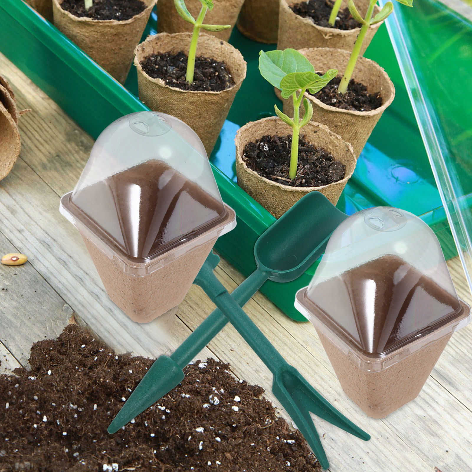 10Pcs Sustainable Seedling Sta - Dome Propagation Kit review and price