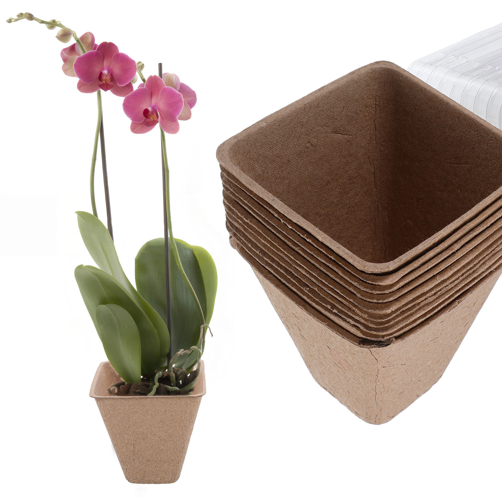10Pcs Sustainable Seedling Sta - Dome Propagation Kit review and price