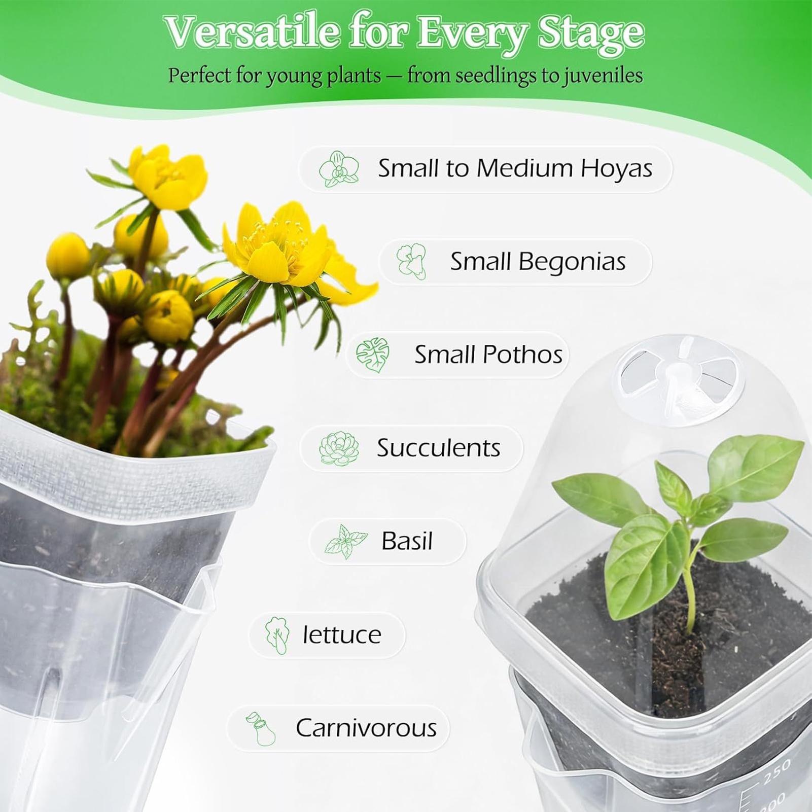 Self Watering Pots 12Pcs Seed  - Dome Propagation Kit review and price