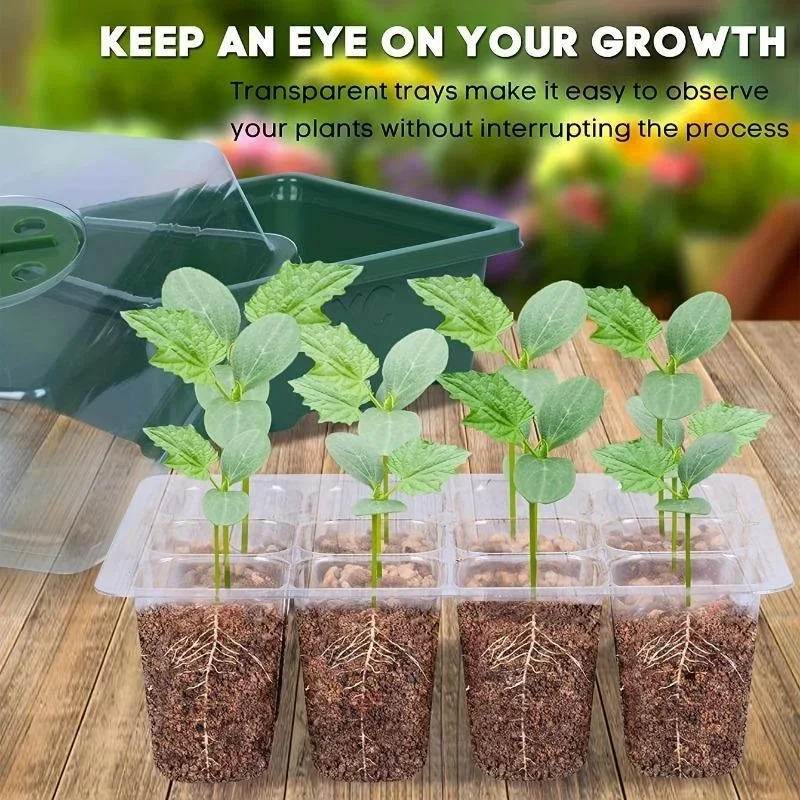 12Grids Seedling Trays Seed St - Dome Propagation Kit review and price